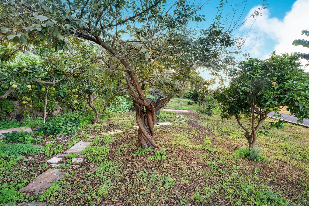 Casa La Victoria Villa La Victoria de Acentejo Екстериор снимка